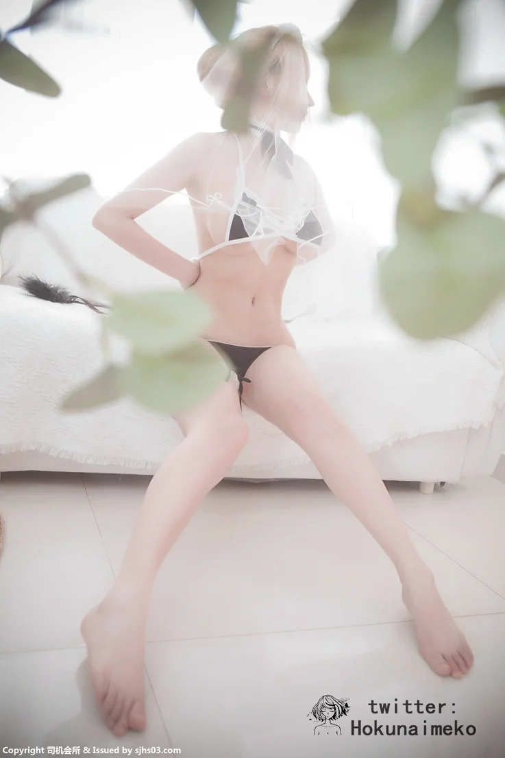 Coser-Hokunaimeko-No.22-031.webp